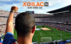 Xoilac-tv.media - Xoilac TV: Phát bóng đá miễn phí hiện nay